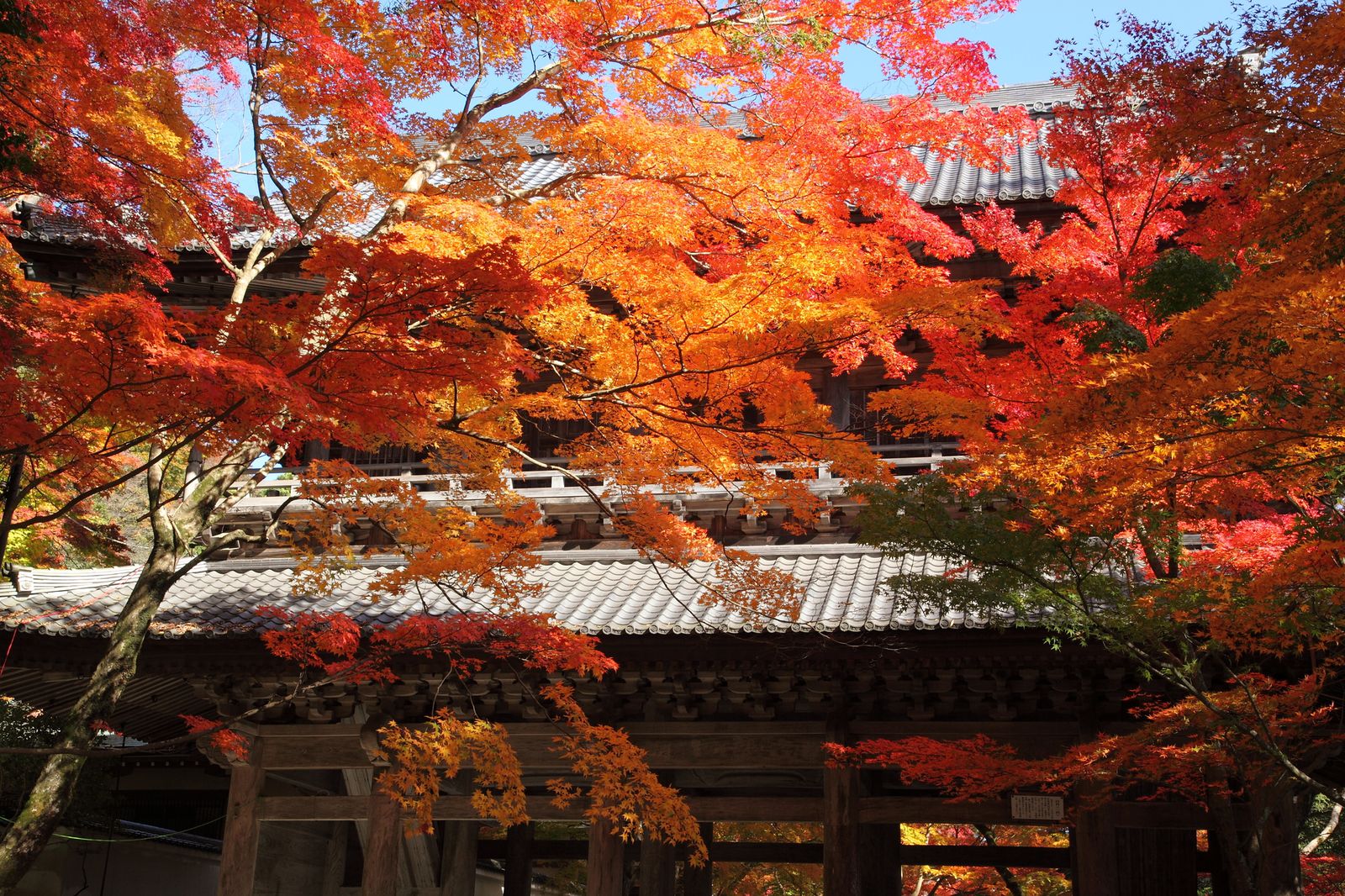 足を伸ばす価値あり この秋行きたい茨城県の紅葉スポット10景 Retrip リトリップ