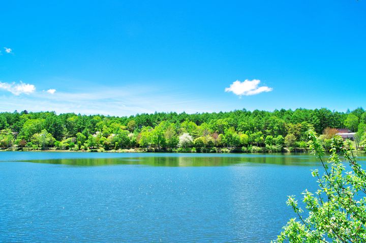 長野県 白樺湖周辺 のおすすめ観光地 どの季節に行っても楽しめる7選 Retrip リトリップ
