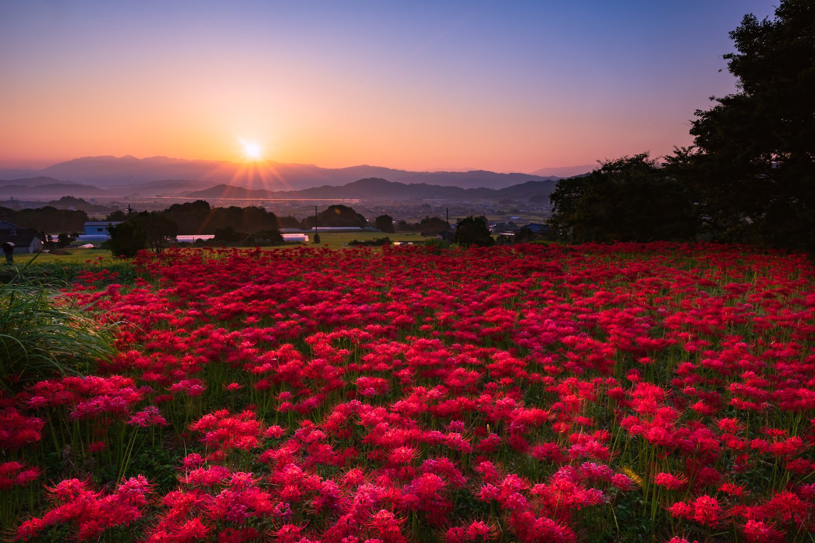 いつもあるわけじゃないから美しい 夏の終わりにしか見られない日本の絶景10選 Retrip リトリップ