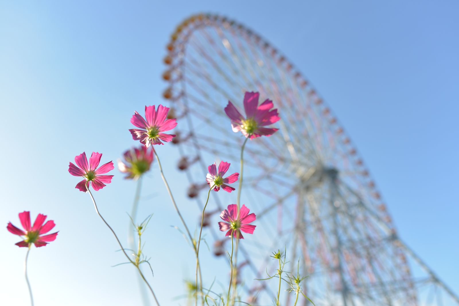 幼い頃のあの気持ちを 真夏を避けていきたい都内近郊のレジャースポット7選 Retrip リトリップ