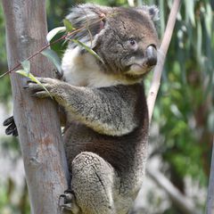 天王寺動物園デートで取り入れたいプラン10選 今日こそ恋の天王山 Retrip リトリップ