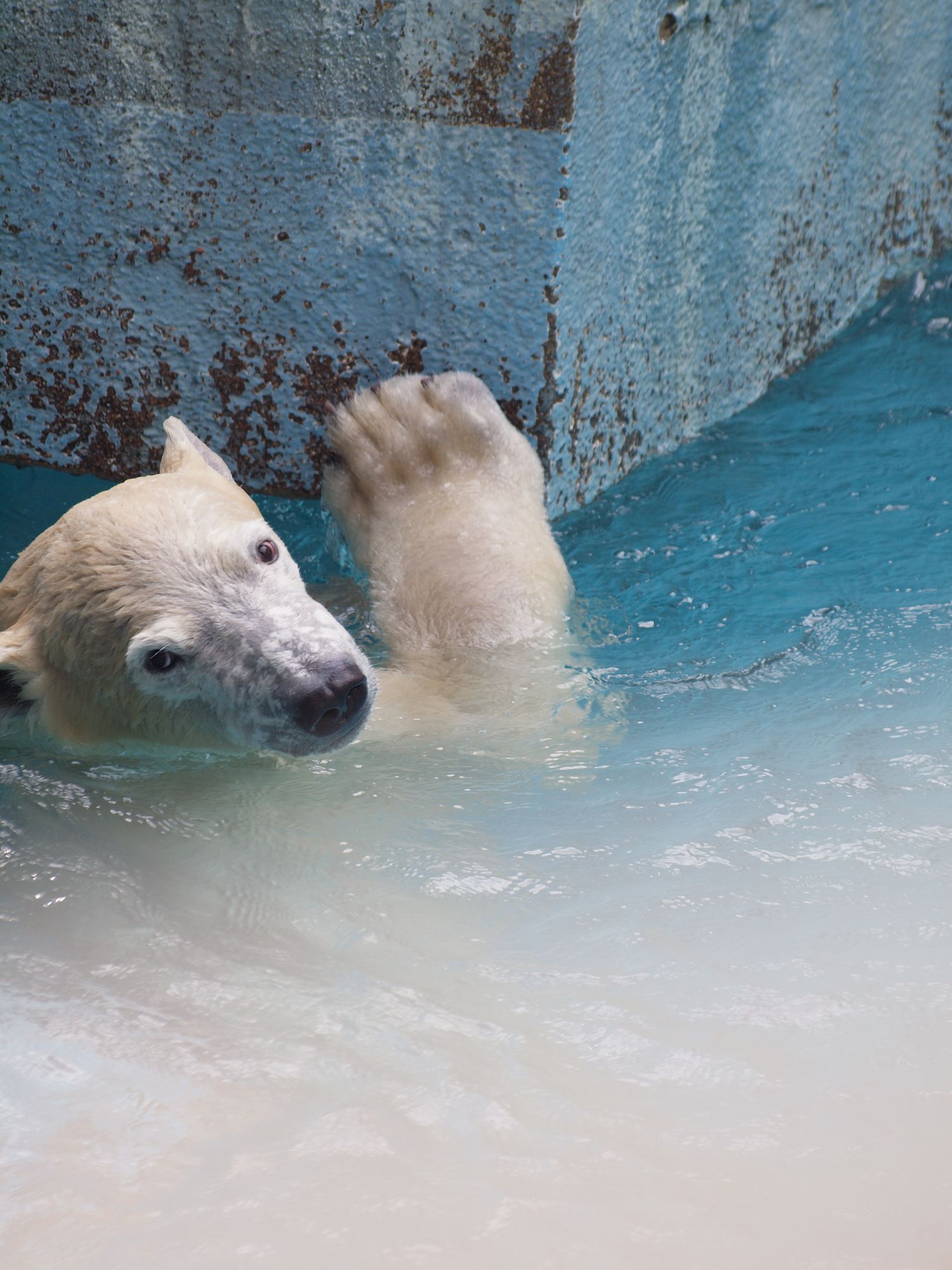 21枚目の画像 天王寺動物園デートで取り入れたいプラン10選 今日こそ恋の天王山 Retrip リトリップ