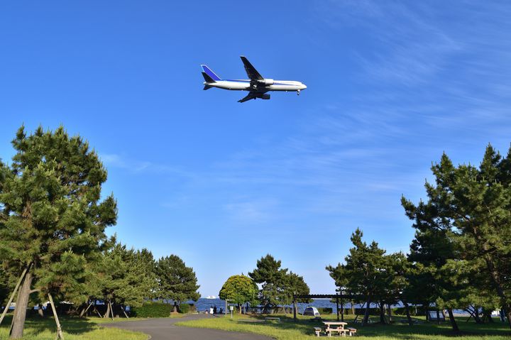 都心で見つけた自然スポット！城南島海浜公園でしたい5つのこと