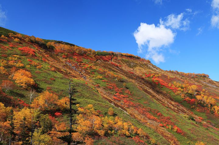 いよいよシーズン到来 北海道の美しすぎる紅葉スポット7選 Retrip リトリップ