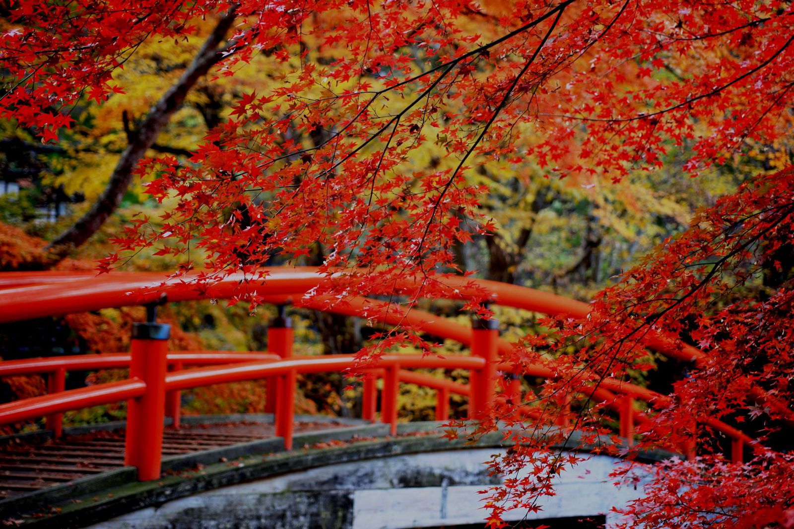 4枚目の画像 秋のデートはこれで決まり 週末に行ける紅葉を堪能できる東京近郊の温泉地10選 Retrip リトリップ