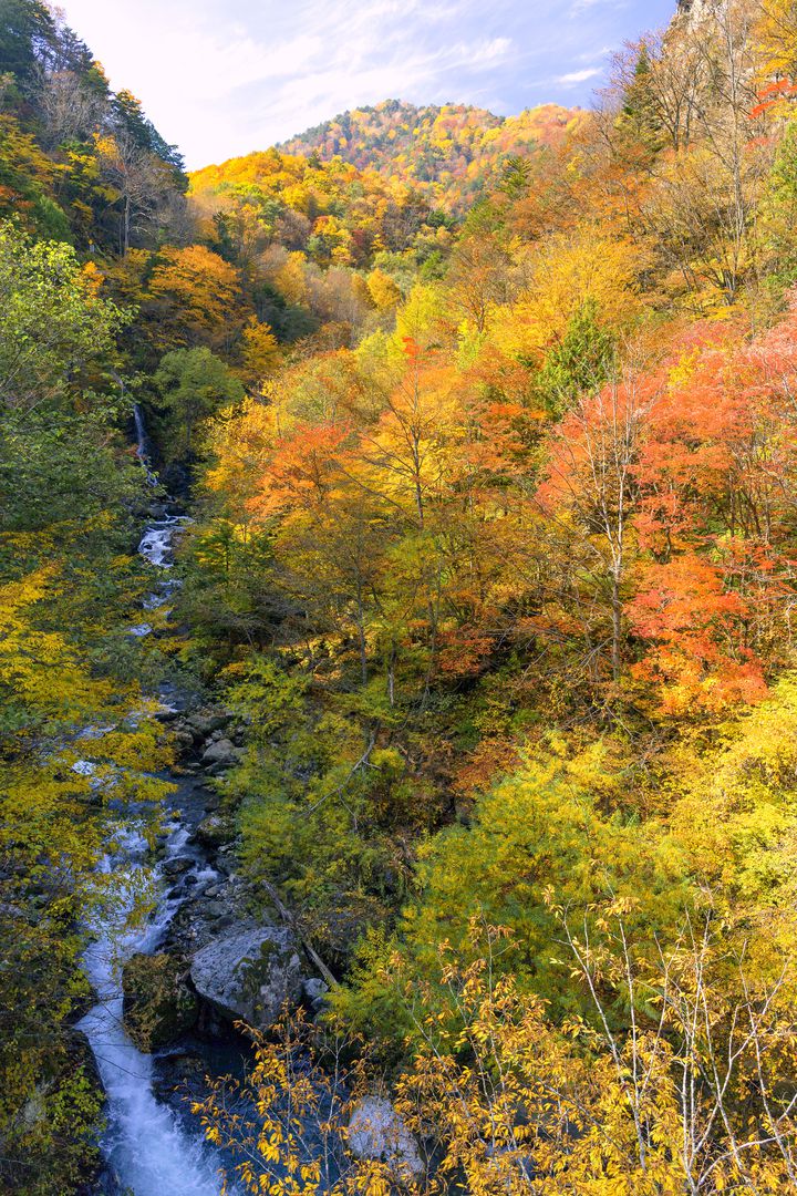 心と体に贅沢な体験を。“温泉×紅葉”が楽しめる全国の極上温泉7選