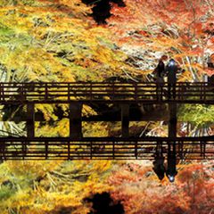 秋の絶景が見逃せない 愛知 岩屋堂公園 の紅葉が美しすぎる Retrip リトリップ