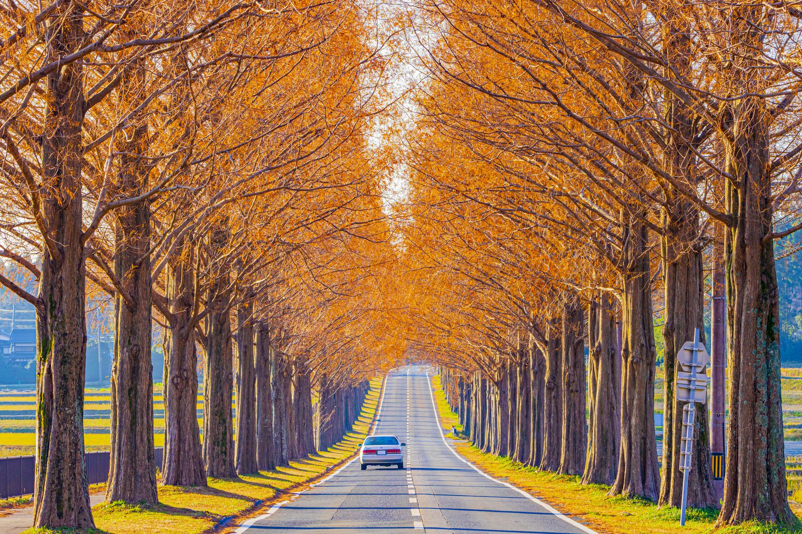 絶景好きが厳選する この秋行きたい関西にある美しすぎる究極の絶景7選 Retrip リトリップ