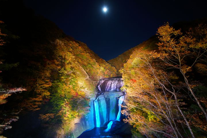 紅く灯る秋の夜長を。関東地方のおすすめ“紅葉ライトアップスポット”8選