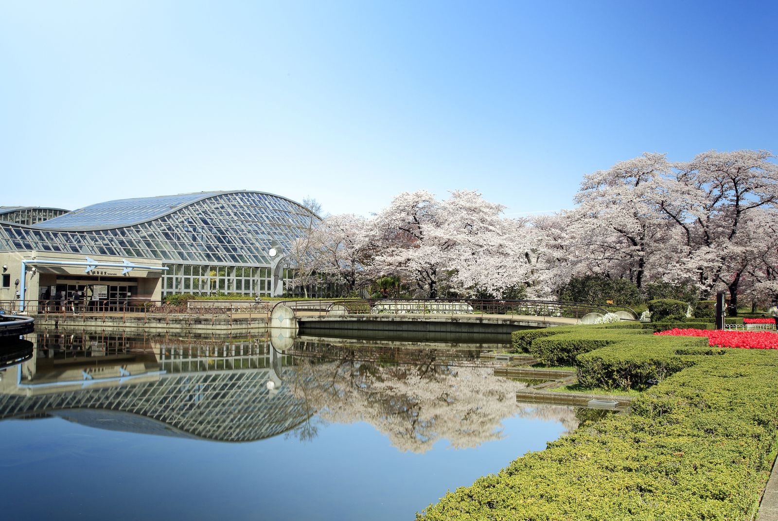 京都の心やすらぐスポット「京都府立植物園」でしたい5つのこと | RETRIP[リトリップ]