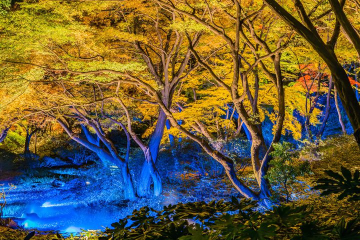 ホッと一息つきたい時に 東京都内にある心が安らぐおススメ 庭園 8カ所 Retrip リトリップ