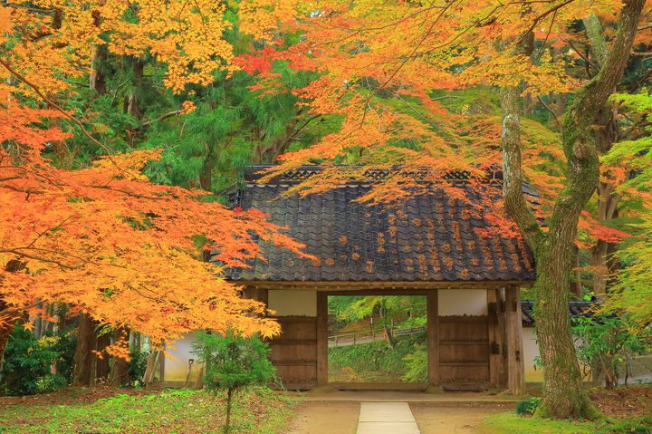 岩手でパワースポット巡りにおすすめしたいお寺 神社7選 Retrip リトリップ