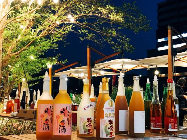 全国酒蔵の梅酒が勢揃い!上野公園で「全国 梅酒まつりin東京2018」開催 メイン画像