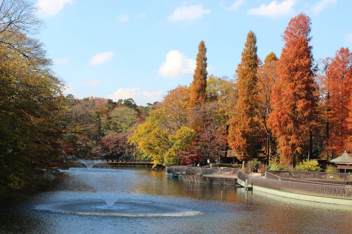 まだ間に合う紅葉からイルミネーションまで 12月の関東のお出かけスポットまとめ Retrip リトリップ