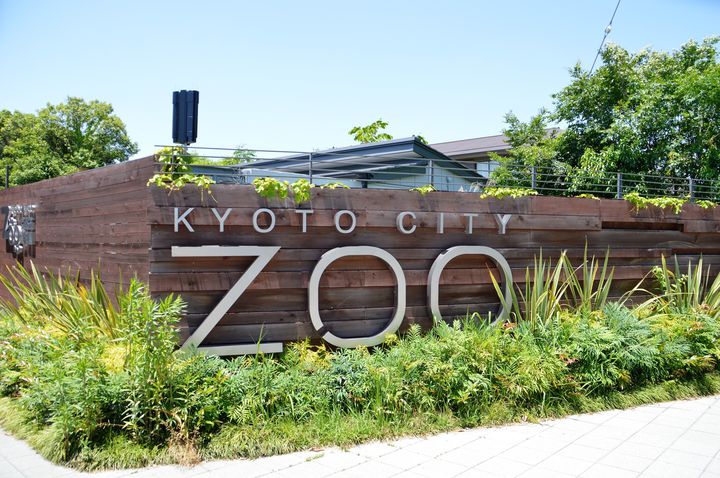 京都 市 動物園