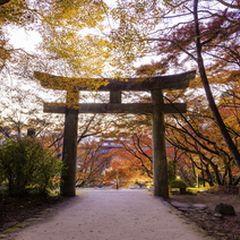 紅葉からご当地グルメまで 秋の福岡女子旅 で行きたいスポット10選 Retrip リトリップ