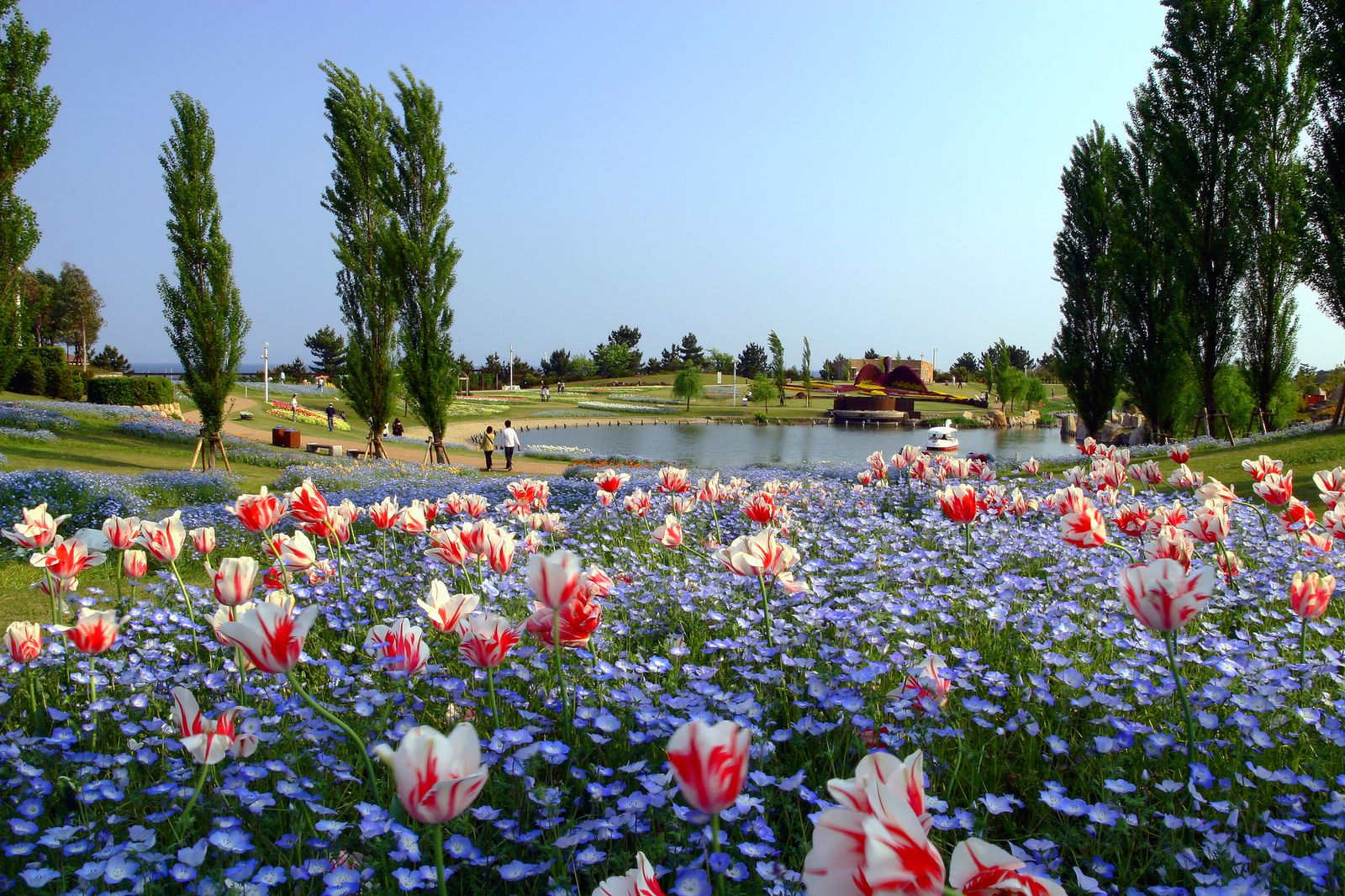 淡路島 観光 日帰り デート デート 久しぶり おすすめ