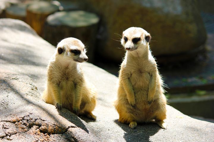 ピクニック気分で出かけよう のいち動物公園 でしたい5つのこと Retrip リトリップ