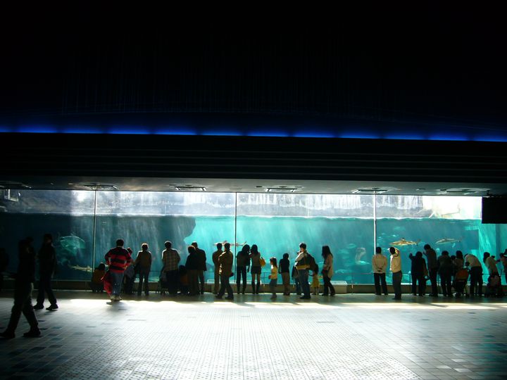 須磨海浜水族園でしたい7つのこと！水族館だけでなく遊園地も