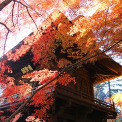 都心からたったの1時間 この秋は埼玉の 平林寺 の紅葉に感動しよう Retrip リトリップ