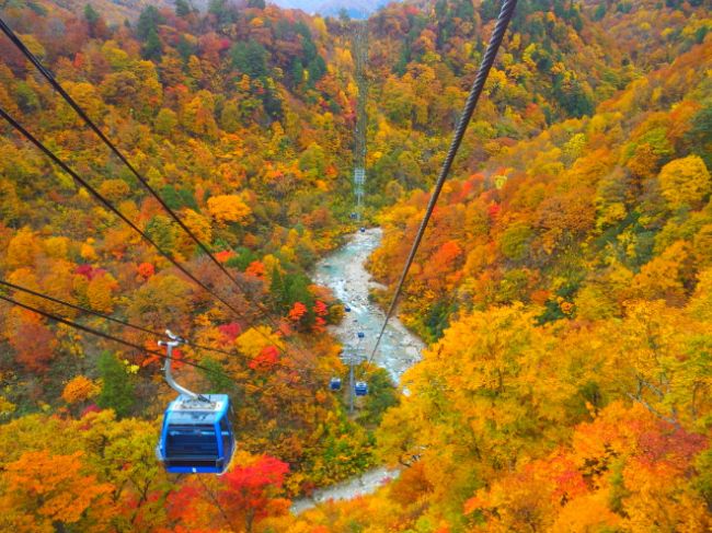 今がピーク！新潟県・苗場スキー場周辺の紅葉を空中から見下ろしたい