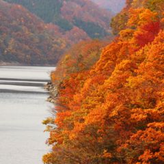 福井が誇る秋の絶景スポット 九頭竜湖 の紅葉が絶景すぎる Retrip リトリップ