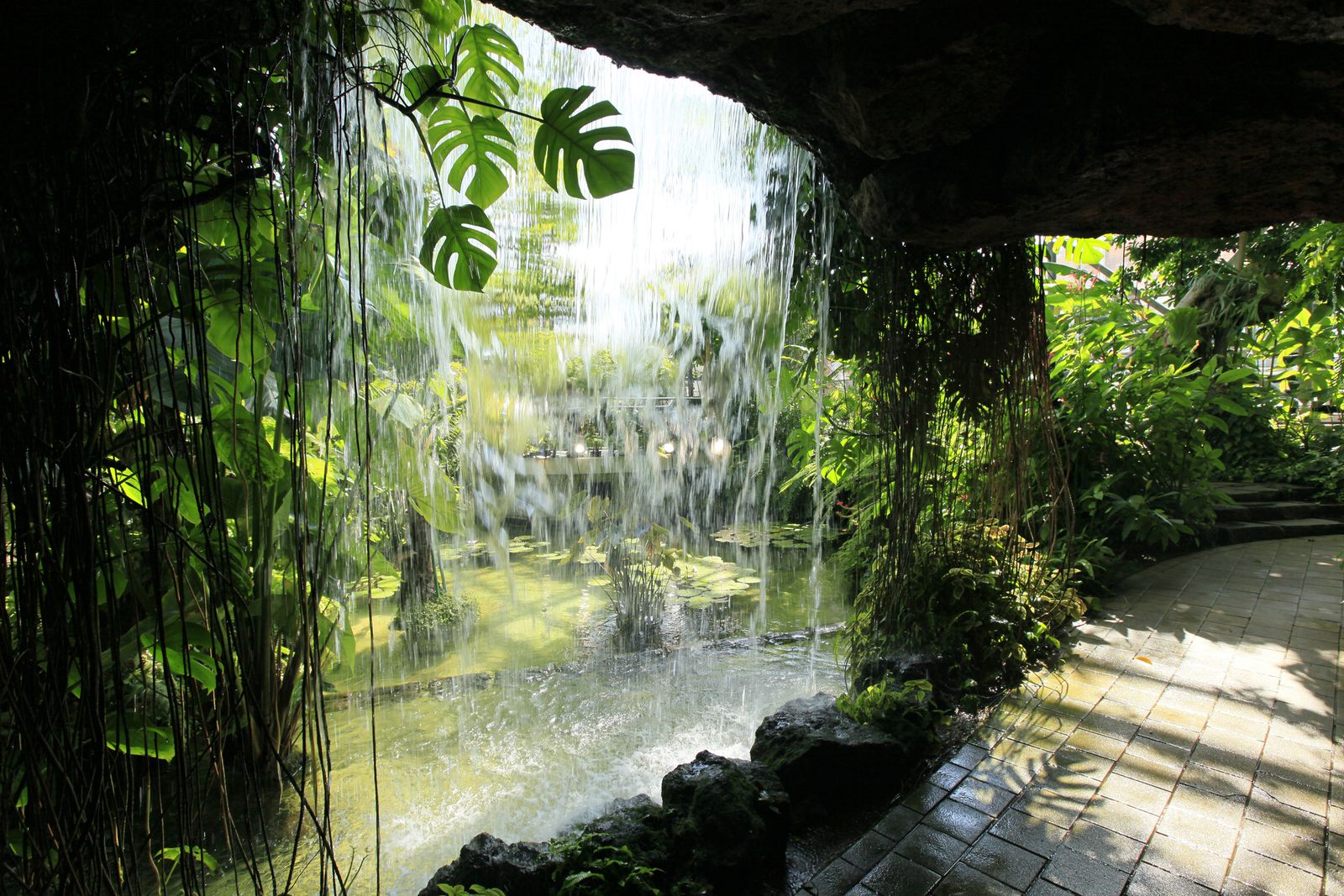 ボタニカルパワー 東京 夢の島熱帯植物館 でしたい５つのこと Retrip リトリップ