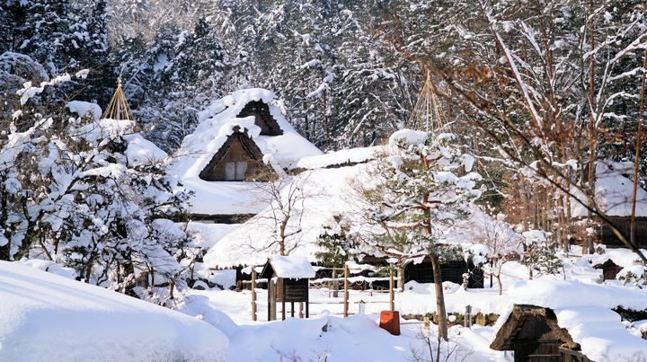 終了 開催中止 雪と合掌造り家屋が作り出す幻想的な美しさ 飛騨の里 冬のライトアップ 開催 Retrip リトリップ