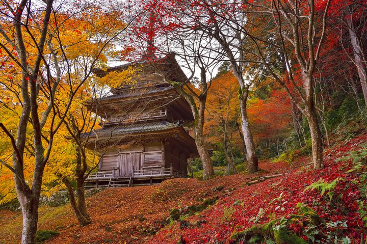 【超厳選】目を疑うほどの絶景に出会う旅。関西の美しすぎる至極の紅葉名所9選