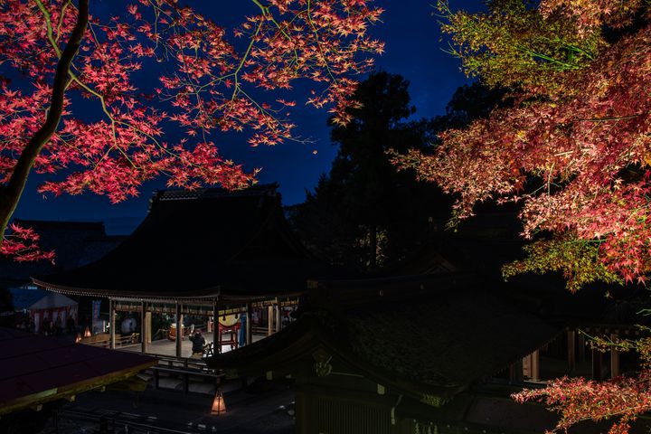 良いご縁に恵まれますように 京都 出雲大神宮でやるべき5つのこと Retrip リトリップ