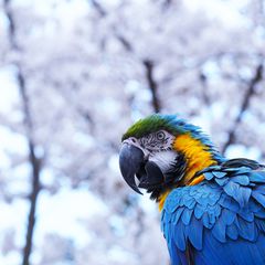 長野ならではの動物園 長野県にあるおすすめの動物園7選 Retrip リトリップ