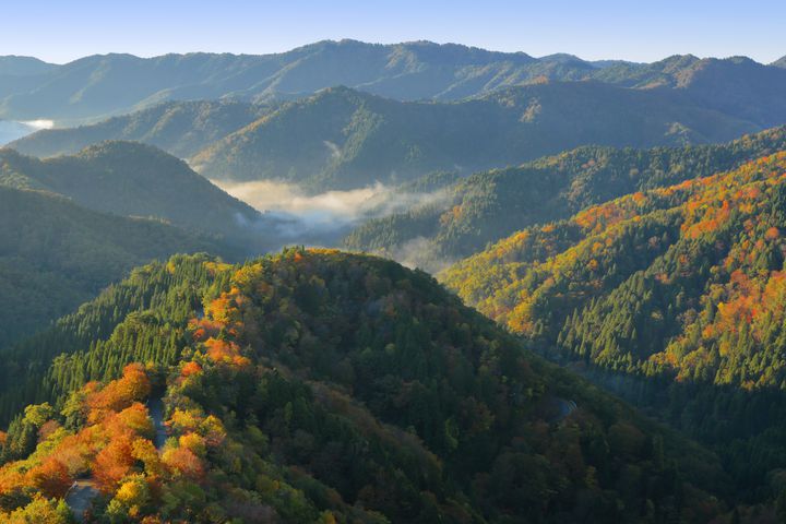 関西の秋の絶景がここにあり 滋賀県の美しすぎる究極の秋の絶景まとめ Retrip リトリップ