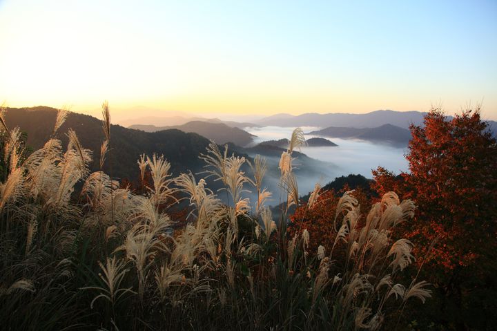 関西の秋の絶景がここにあり 滋賀県の美しすぎる究極の秋の絶景まとめ Retrip リトリップ