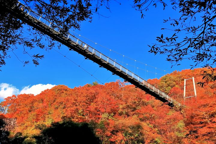 "青の絶景"の秋を見つけよう。日本国内にある青と紅葉の絶景スポット10選