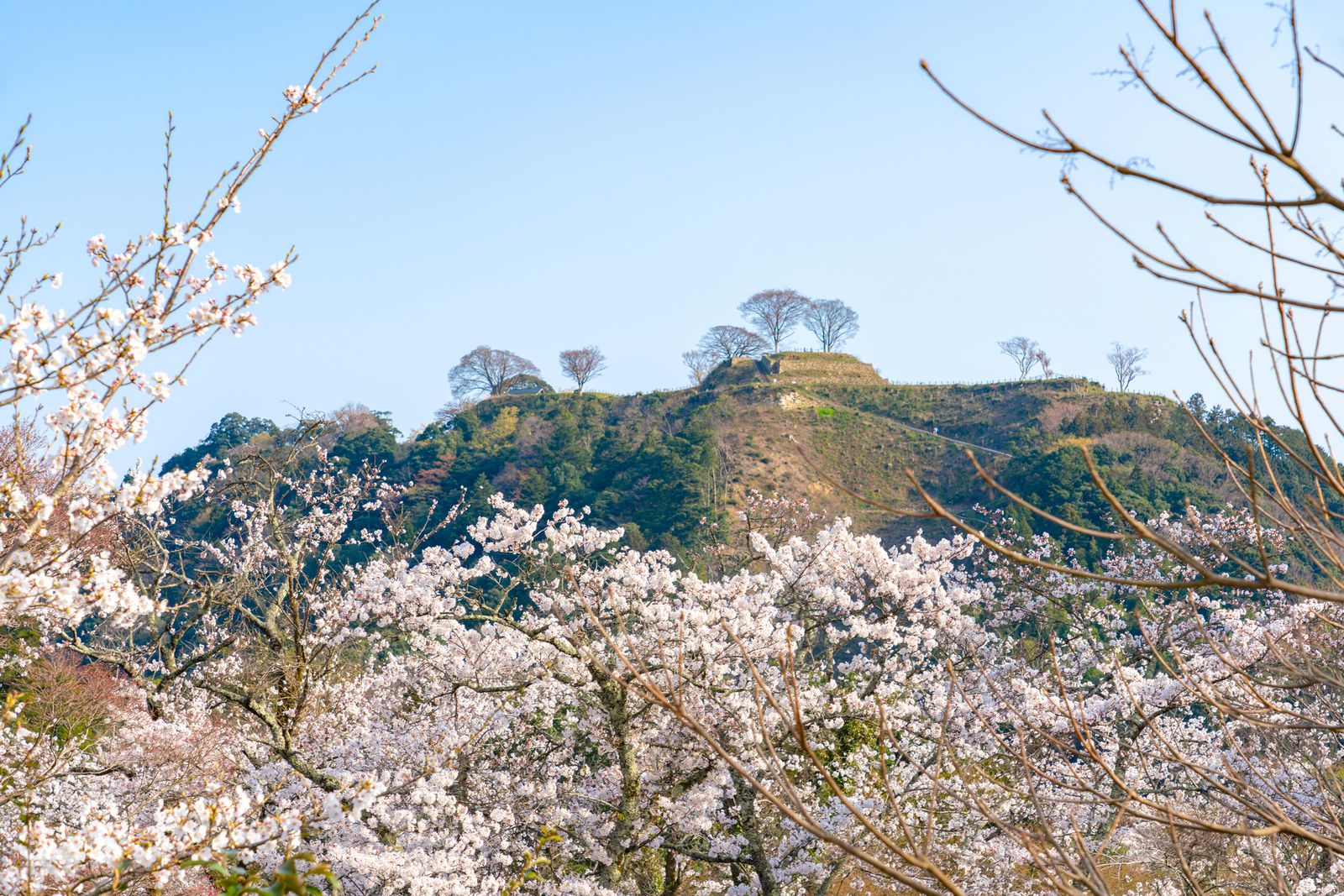 難攻不落の名城を偲ぶ！島根県の「月山富田城」でしたい5つのこと | RETRIP[リトリップ]