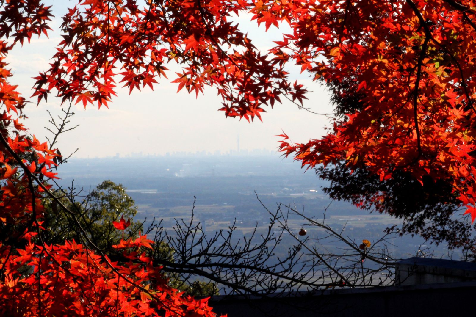 筑波山温泉