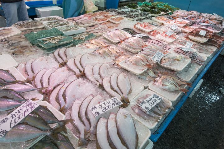 魚好きの方必見 茨城県 大洗海鮮市場 でしたい５つのこと Retrip リトリップ