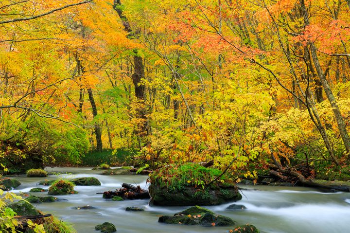 渓流と紅葉が作りだす最高の癒しスポット 青森 奥入瀬渓流の紅葉が見たい Retrip リトリップ