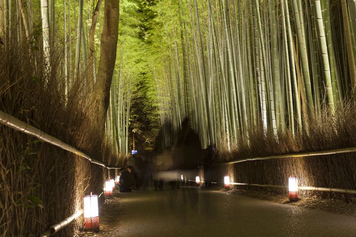 終了 12月の京都を彩る絶景ライトアップ 京都 嵐山花灯路19 開催 Retrip リトリップ