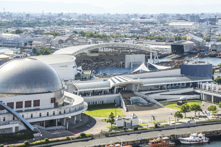 かわいい動物に癒されたい 名古屋港水族館でしたい７つのこと Retrip リトリップ