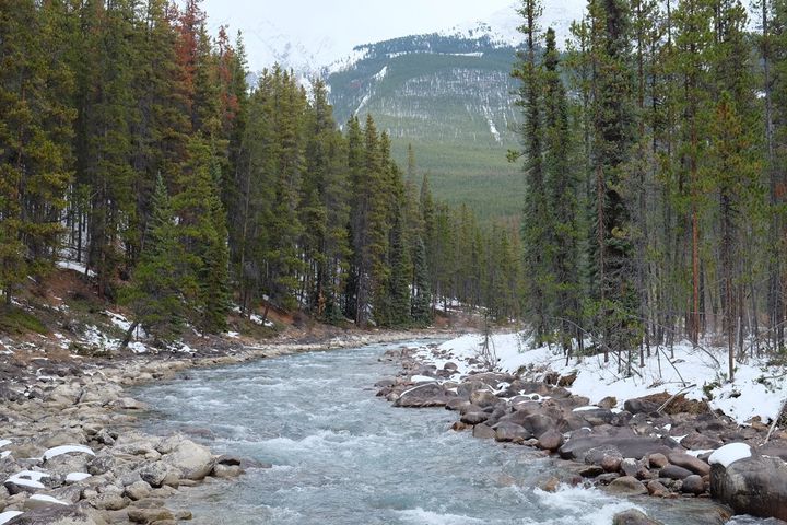 僕のアメリカ縦断日記。「First week・カナダ編」ロッキー山脈と命の
