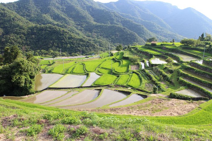 夏の予定が白紙のあなたへ 令和の夏に 四国地方へ行くべき8つの理由 Retrip リトリップ