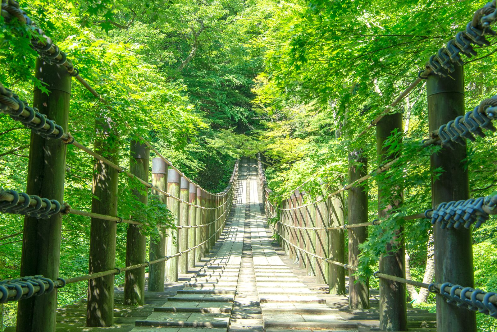 死ぬまでに一度は行きたい！日本国内の“絶景ドライブスポット”9選 | RETRIP[リトリップ]