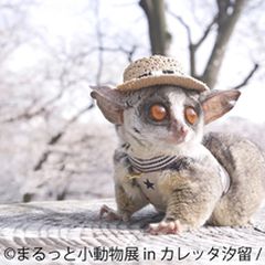 ニュース画像
