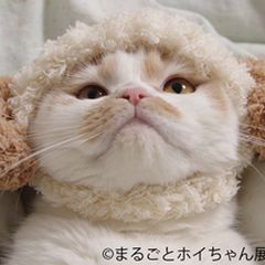 ニュース画像