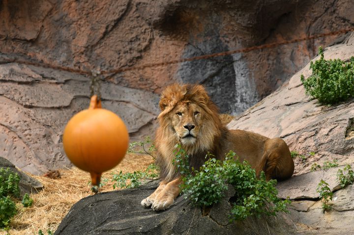 1日いてもずっと楽しい 名古屋 東山動植物園でしたい7つのこと Retrip リトリップ