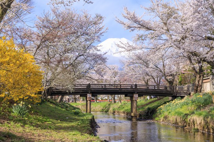 週末に行く大人カップルにおすすめ山梨癒しのドライブデートプラン 旅行キュレーションメディア トラベルザウルス