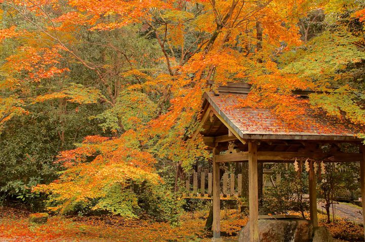 いにしへの都 奈良 の優美で美しい紅葉名所ランキングtop15 Retrip リトリップ