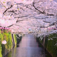 ニュース画像