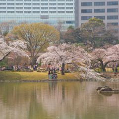 小石川後楽園でしたい5つのこと。  RETRIP[リトリップ]